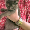 Satin Cuff Bracelet