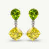 Unknown copie Lemon & Lime Earrings